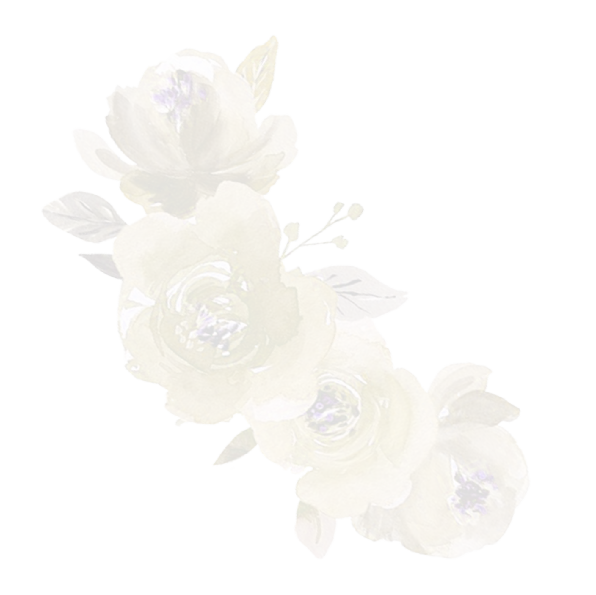 https://camilah-xv.click/wp-content/uploads/2024/09/dfg.png