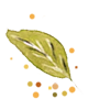 https://camilah-xv.click/wp-content/uploads/2024/09/try.png