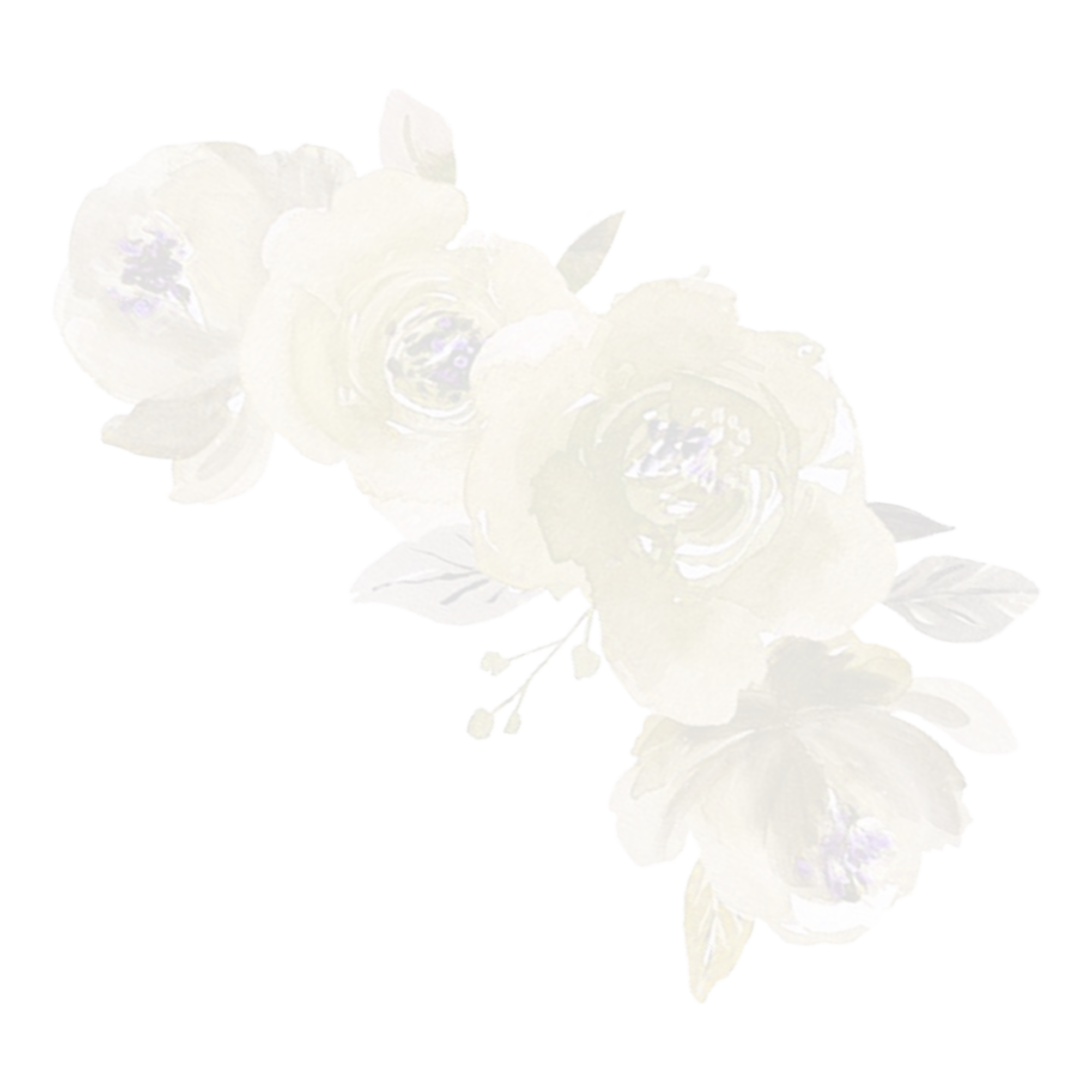 https://camilah-xv.click/wp-content/uploads/2024/09/vbnvbnvb.png